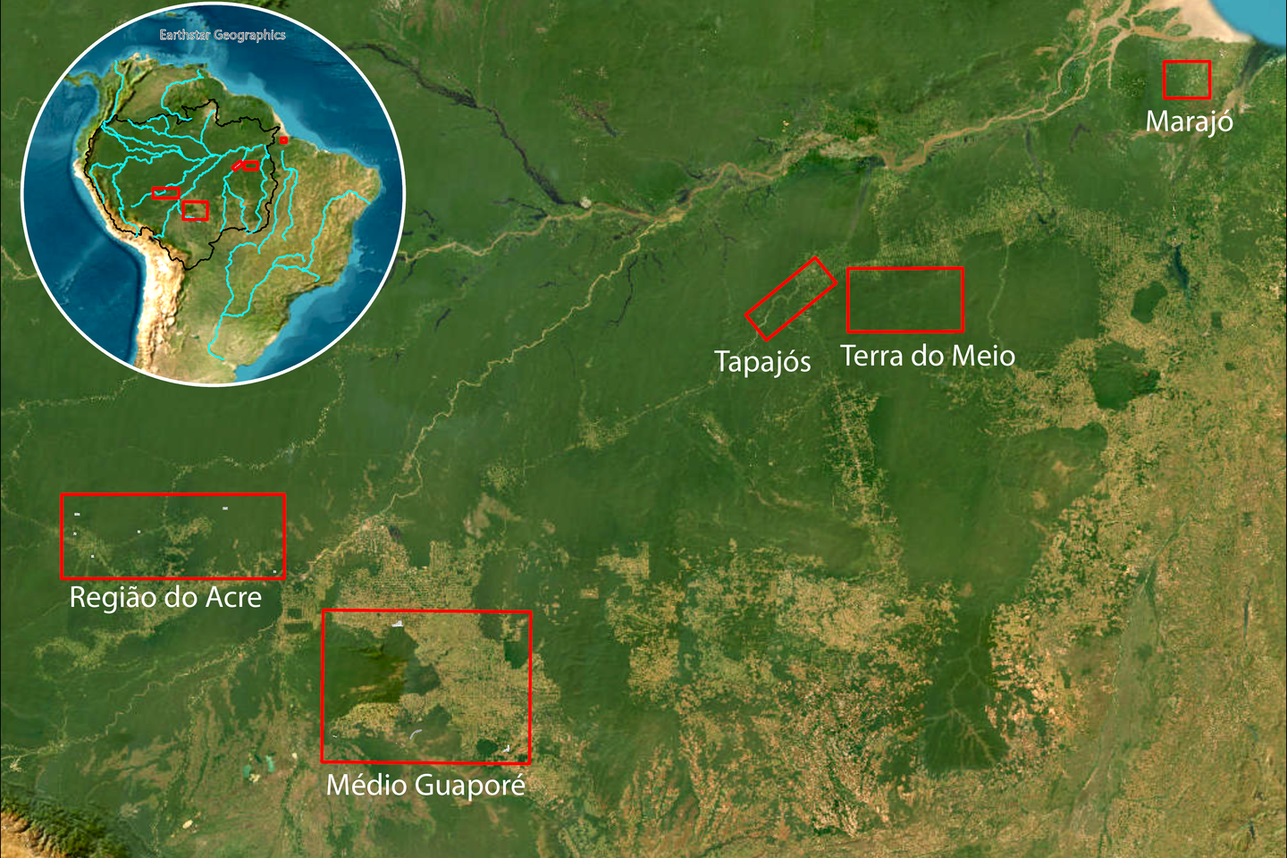 Saving the Amazon with an archaeologist, a plane and a laser