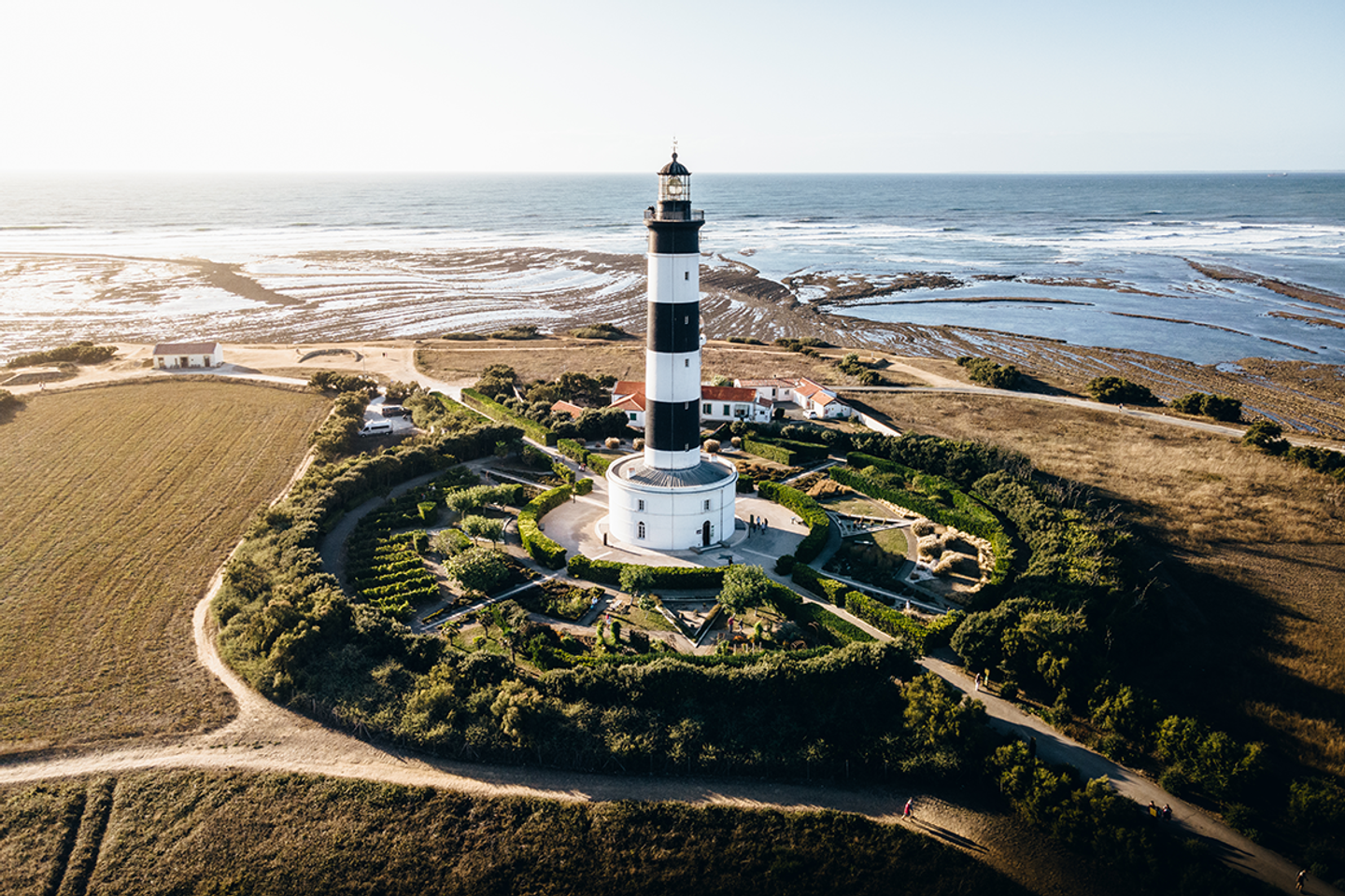 Ocean, oysters and marshes: A walk along Oléron