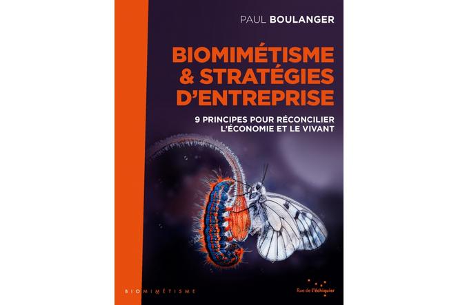 Paul Boulanger, spécialiste du biomimétisme : « Les entreprises ont