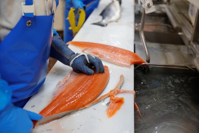 Une usine de transformation du poisson dans le port de Boulogne-sur-Mer (Pas-de-Calais), le 11 janvier 2021.