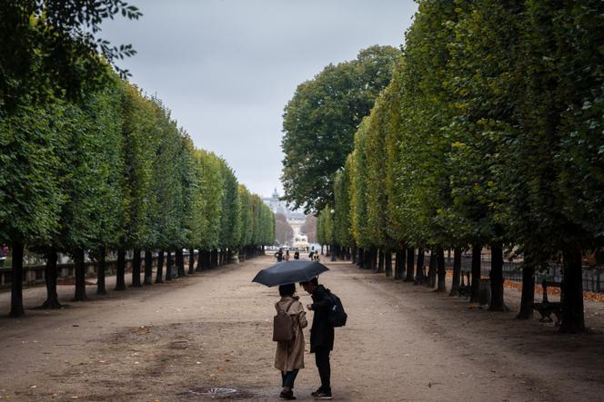 Des touristes, à Paris, le 2 octobre 2024.
