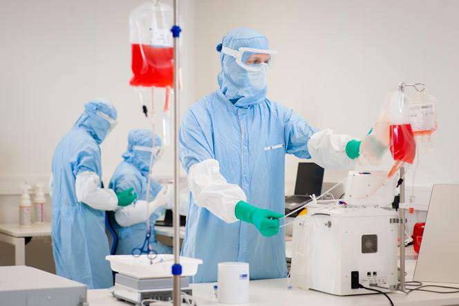 Modification génétique de cellules d’un patient atteint de cancer, à l’usine pharmaceutique Kite, à Amsterdam, en novembre 2021.
