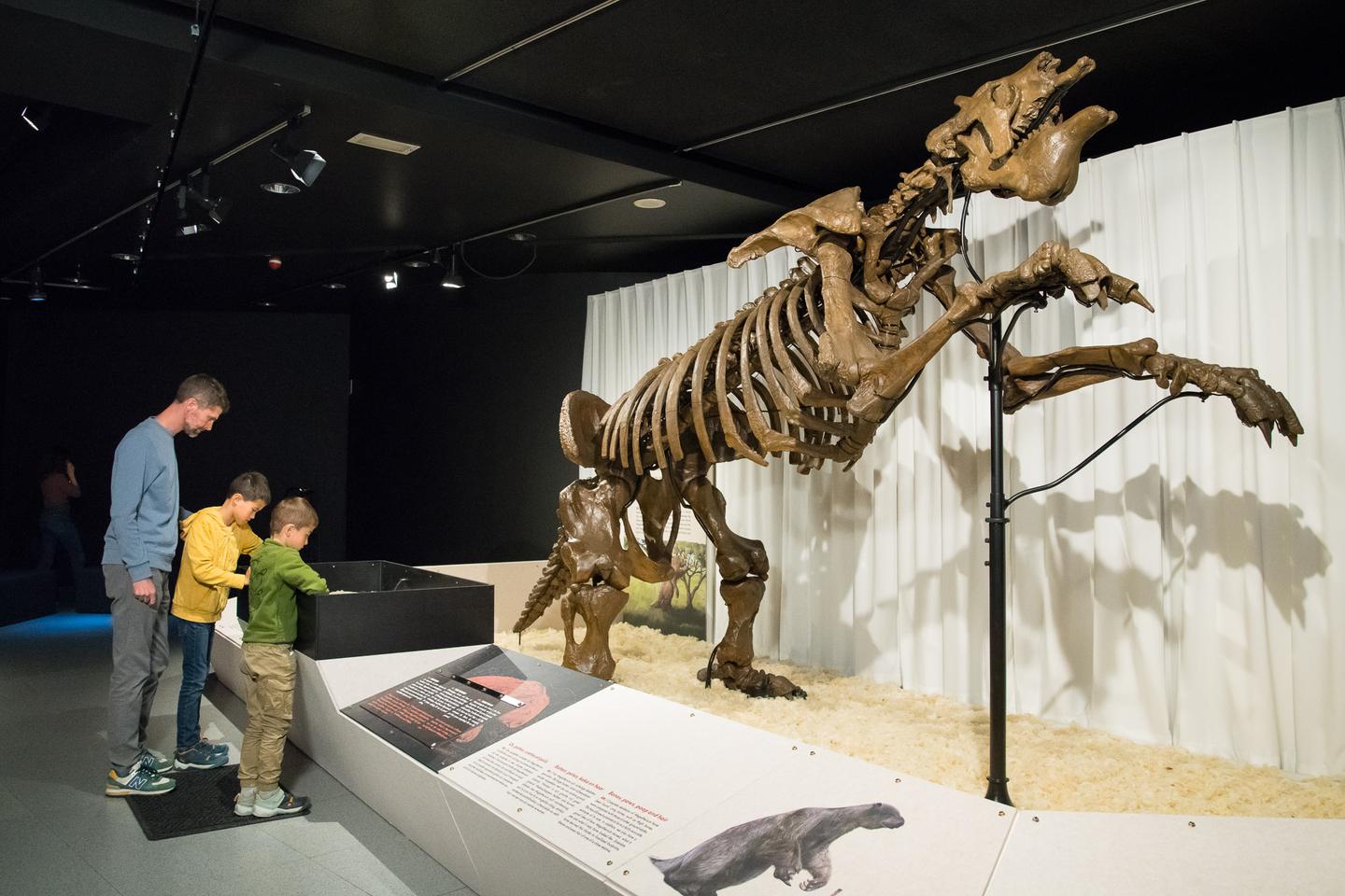 Gigantic animals come to life again at the 'Giants' exhibition in Toulouse