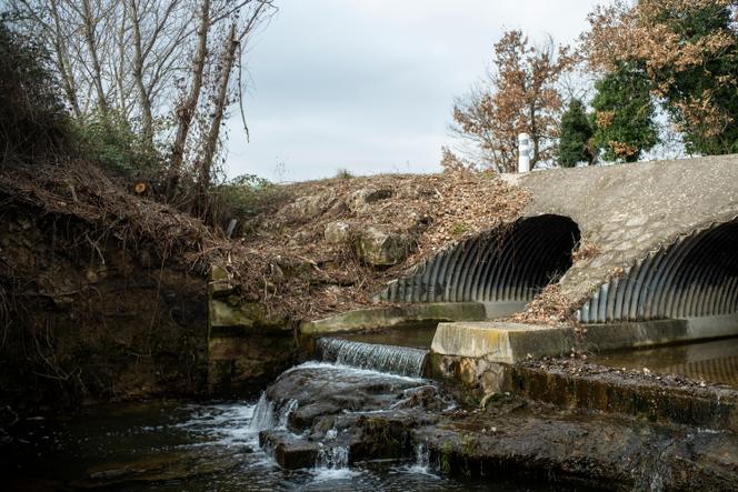 L’Arias, un kilomètre en aval du point de rejet de l’usine Solvay, où l’on retrouve d’importantes quantités d’acide trifluoroacétique (TFA) dans l’eau, à Salindres (Gard), le 30 janvier 2024.