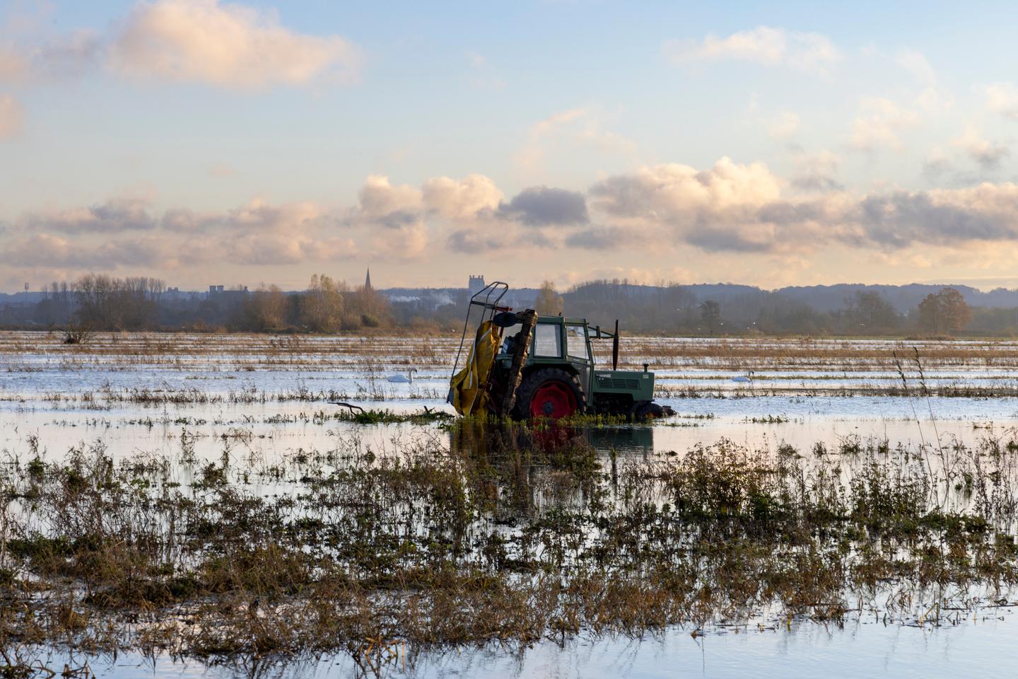 2024, a year of agricultural calamities driven by climate change