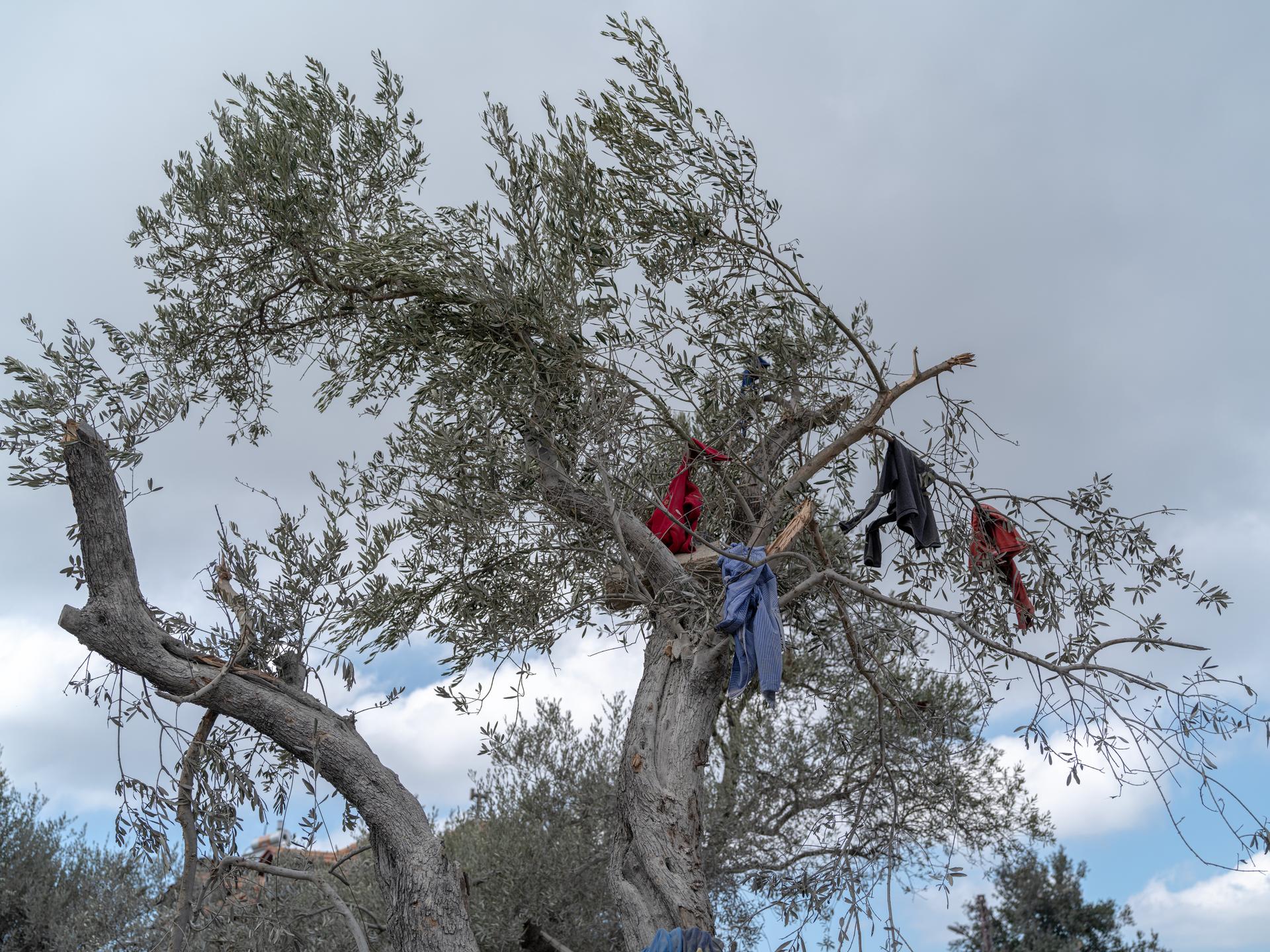 Clothes blown onto a tree by an Israeli air strike in Aitou, northern Lebanon, October 15, 2024.