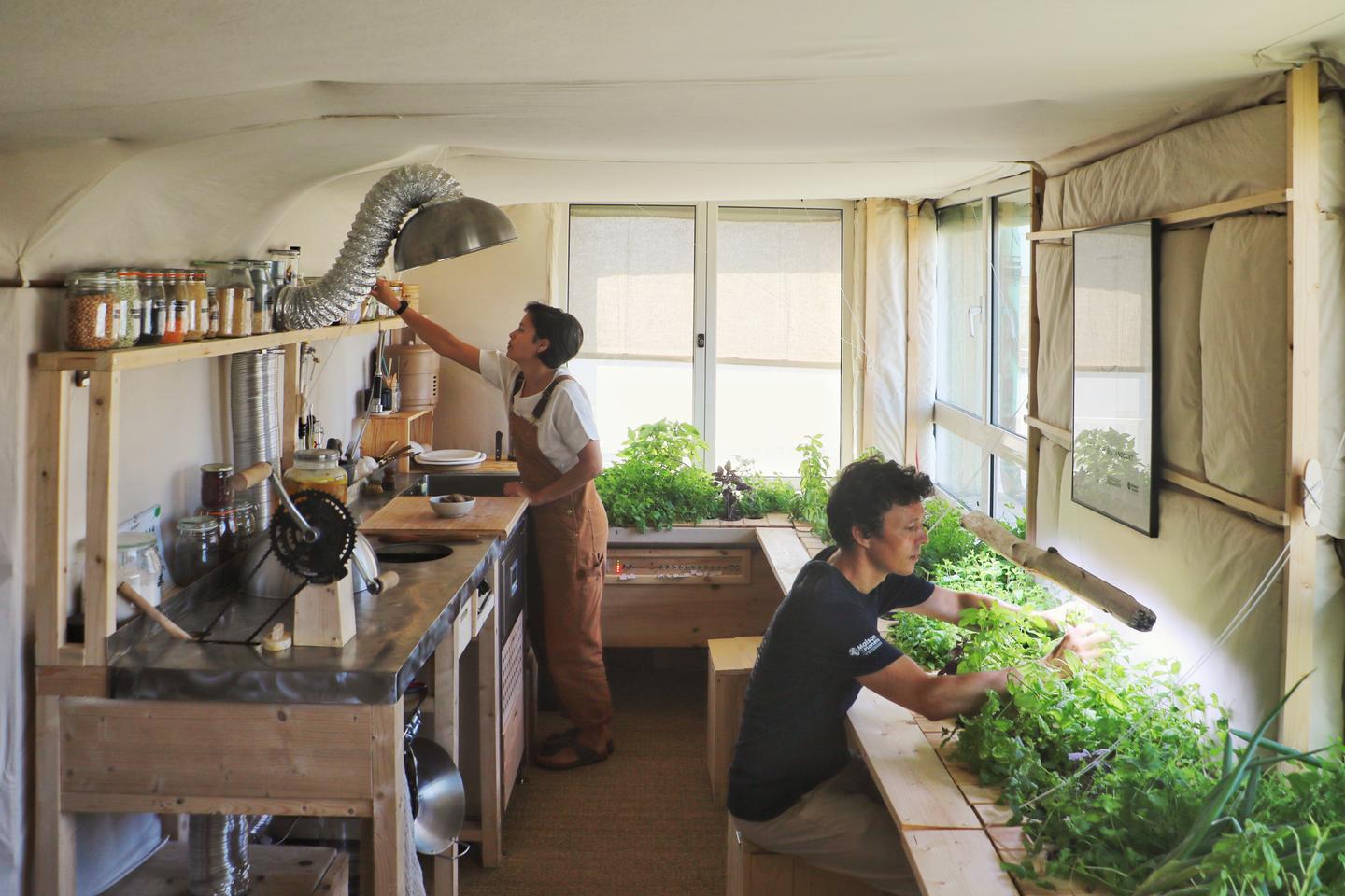 Crickets as roommates and 'living' toilets: Welcome to the 'apartment of the future' in a Paris suburb