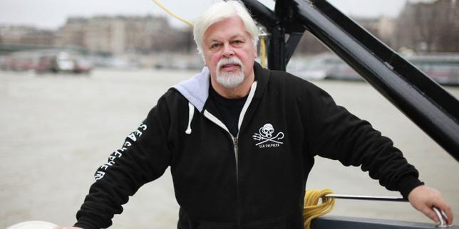 Paul Watson, fondateur de Sea Shepherd, demande l’asile politique à la France thumbnail