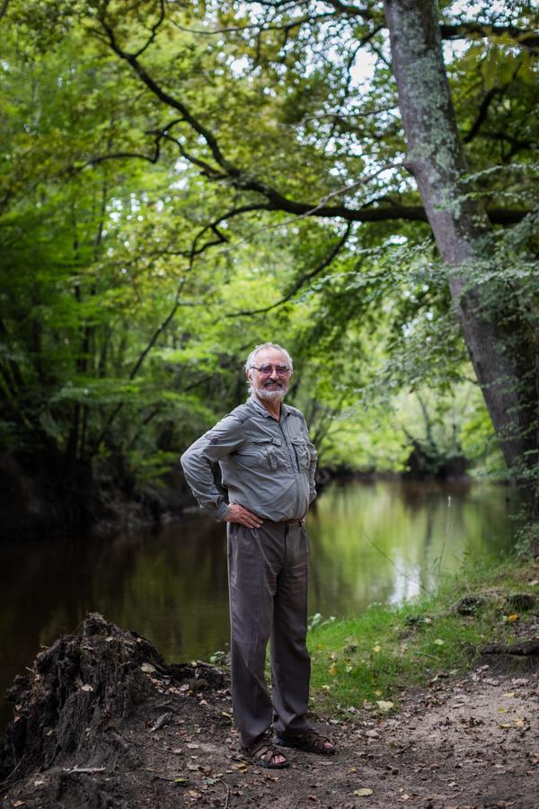 Les mystères de la forêt du Ciron, une hêtraie millénaire et menacée