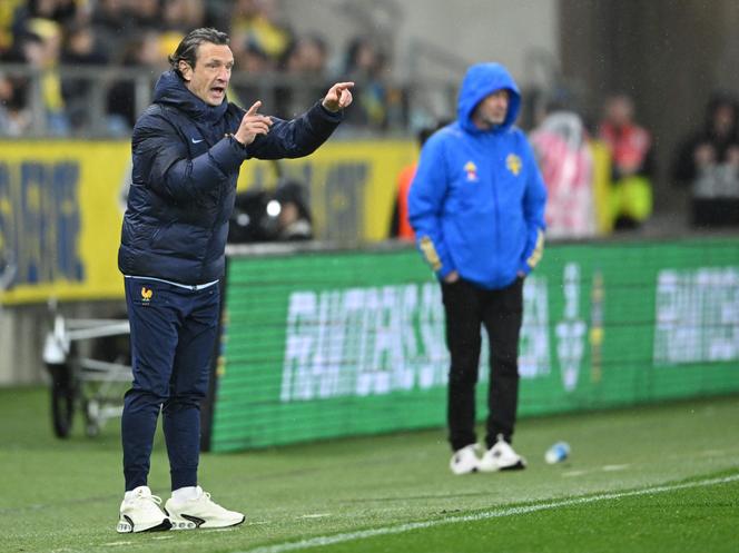 Laurent Bonadei, the little-known coach who whispers in the ear of football's Bleues | WN24 1 Laurent Bonadei during Les Bleues' match against Sweden in Gothenburg, Sweden on April 9, 2024.