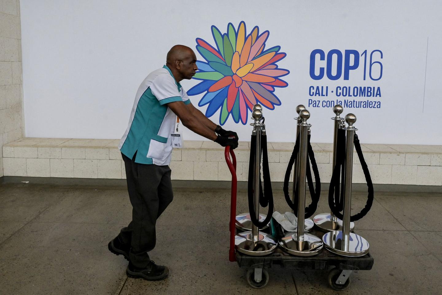 COP16 on biodiversity: In Cali, countries will have to turn promises to halt nature's destruction into action