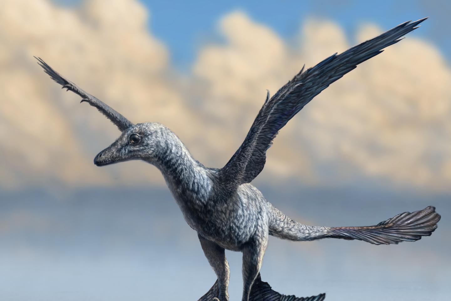 A tiny, speedy dinosaur with wings