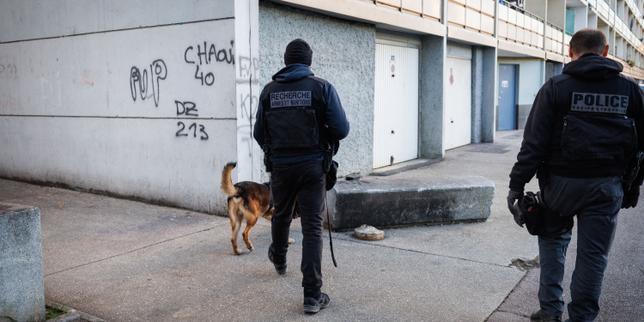 Narcobanditisme : 23 personnes liées à la DZ Mafia mises en examen thumbnail