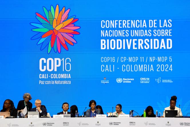 A Ministra do Meio Ambiente da Colômbia, Susana Muhamad, e outros participantes participam da sessão plenária de abertura da 16ª Cúpula da ONU sobre Biodiversidade, em Yumbo, Colômbia, em 21 de outubro de 2024.