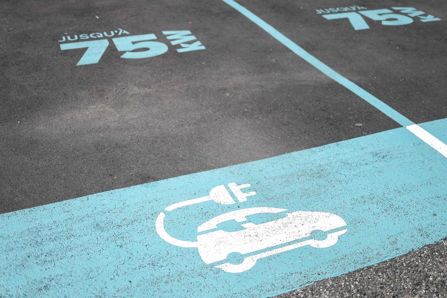 Dominique Méda: 'A small, affordable and sustainable electric car can be made in France, a choice that would enable a just transition'