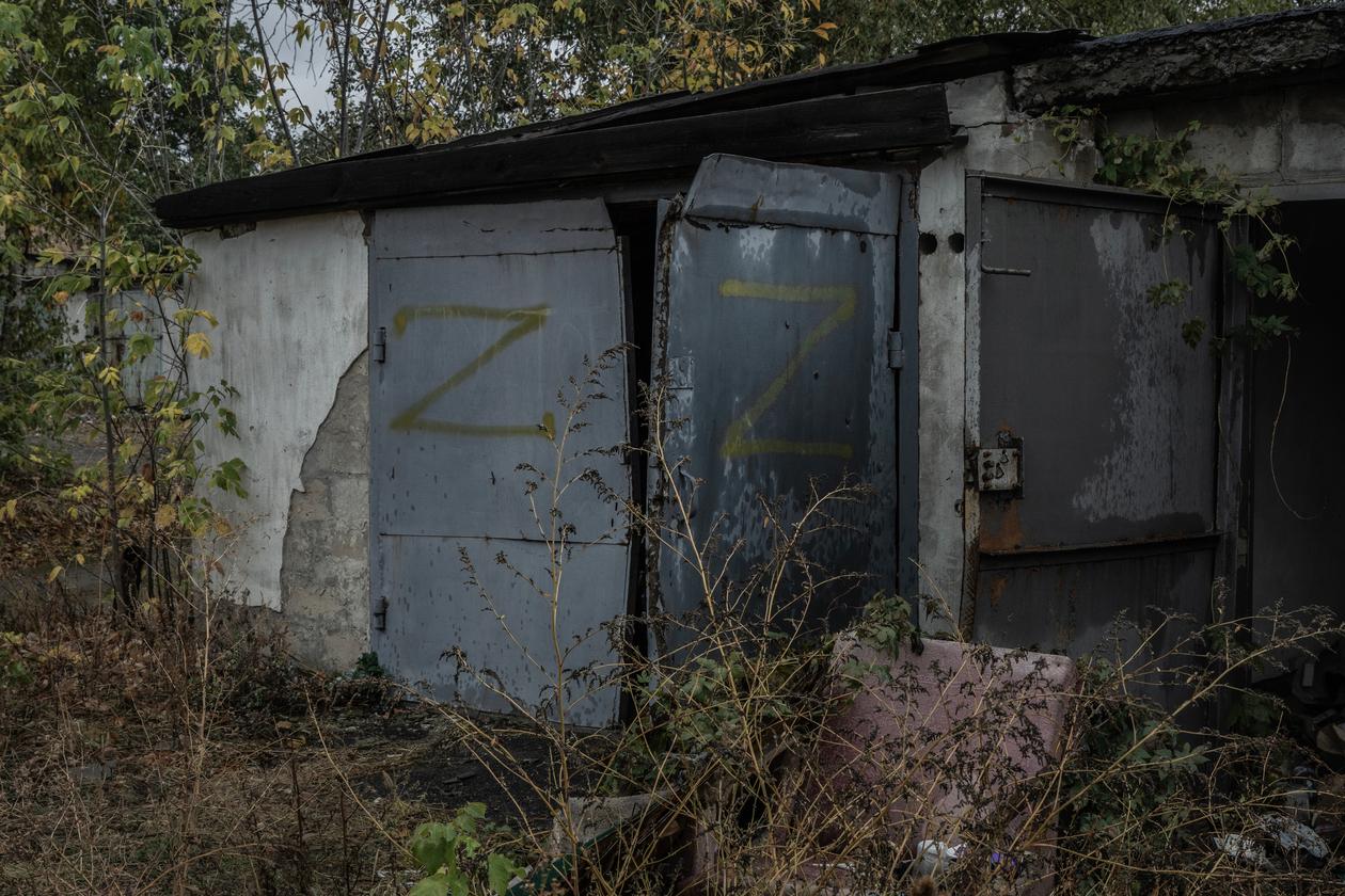 b490d6b_1729720821651-vdsc5075-a-10-24.j