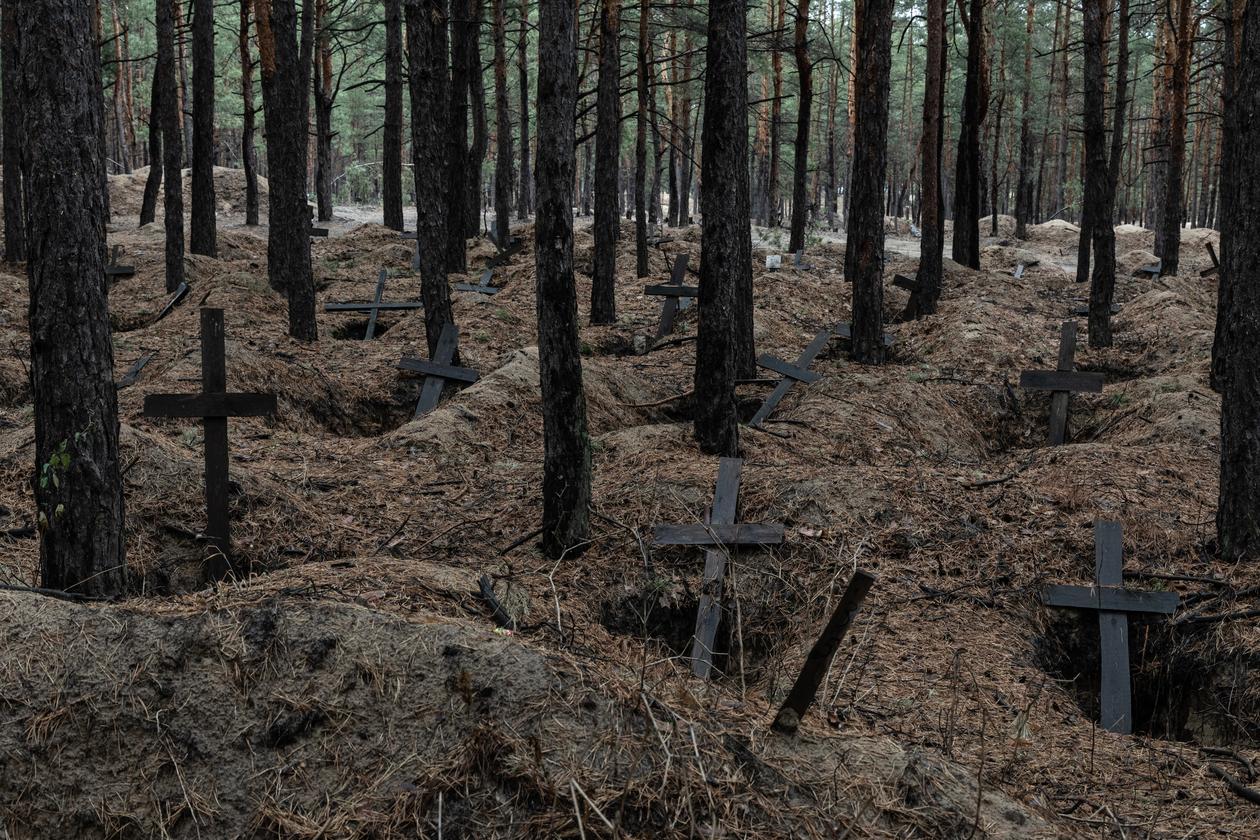 d004f75_1729720743570-vdsc4680-a-10-24.j