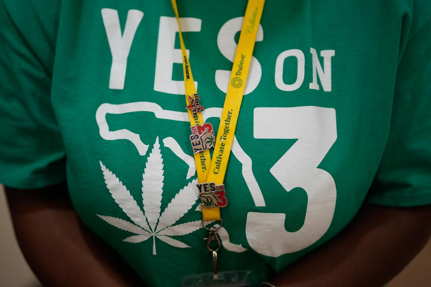 Marijuana legalization fails in Florida after costly campaign