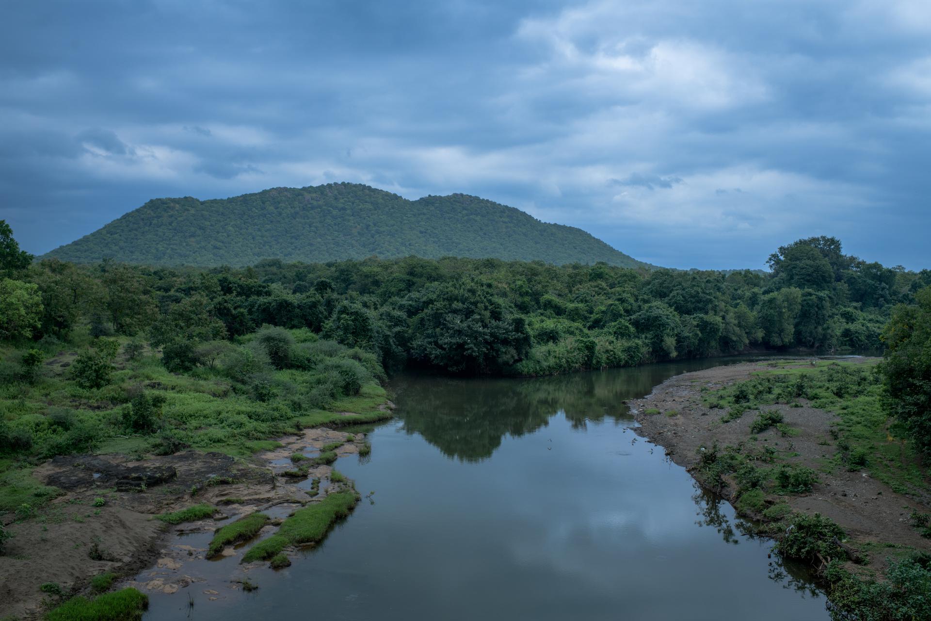 La rivière Hiran, dans la forêt de Gir (Inde), en plein territoire du lion, le 18 octobre 2024.