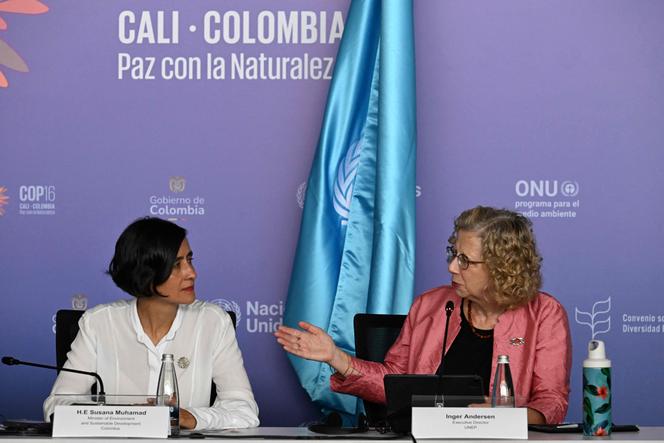 Presidente da COP16, Susana Muhamad, e Inger Andersen, Diretora Executiva do Programa das Nações Unidas para o Meio Ambiente, em Cali, 25 de outubro de 2024. 
