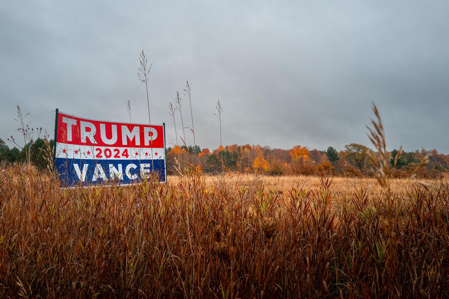 US election polls: With one week to go, the race for the White House is still too close to call
