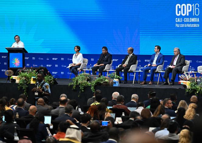 Le président colombien, Gustavo Petro (à gauche), à l’ouverture de la COP16 à Cali (Colombie), le 29 octobre 2024. 
