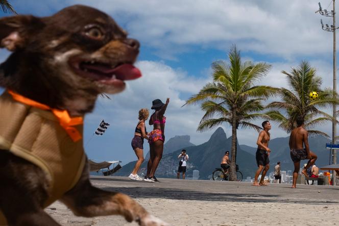 Praia do Arpoador, Rio de Janeiro, em 2023.