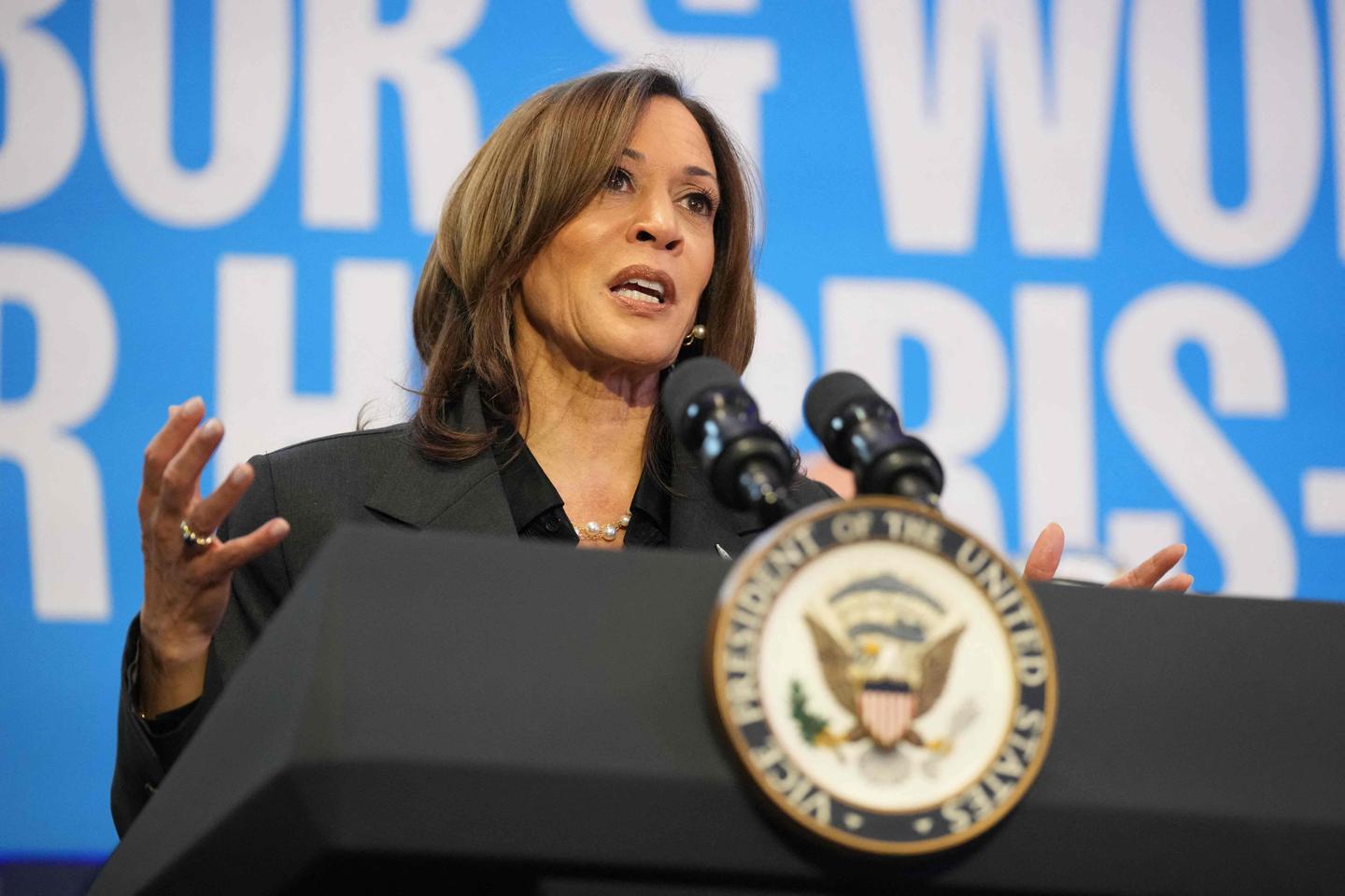 Trump and Harris hold dueling rallies in battleground Wisconsin amid tense four-day countdown to US Election Day