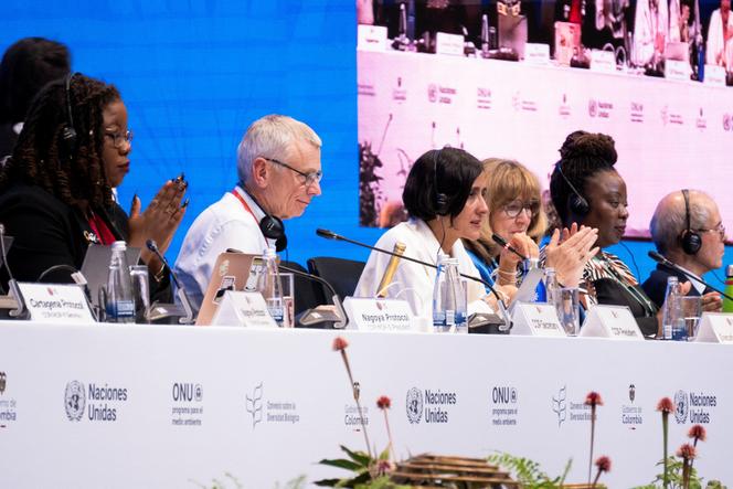 La présidente de la 16ᵉ conférence des parties de la convention des Nations unies sur la biodiversité (COP16), Susana Muhamad (au centre), lors de la session de clôture, à Cali (Colombie), le 1ᵉʳ novembre 2024.