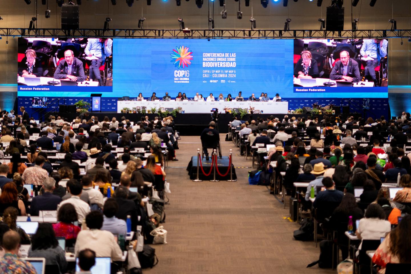 COP16 biodiversity ends without agreement on funding roadmap to rescue nature