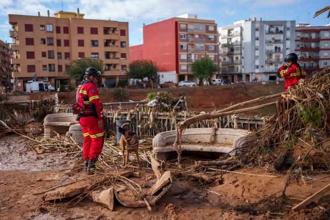 Images Le Monde.fr