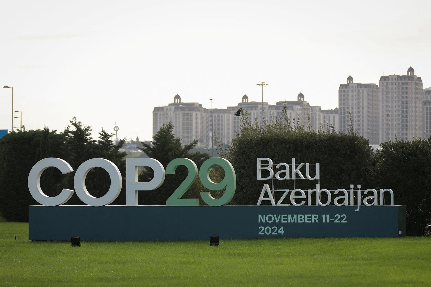 COP29: Financial aid for developing countries at heart of tense discussions