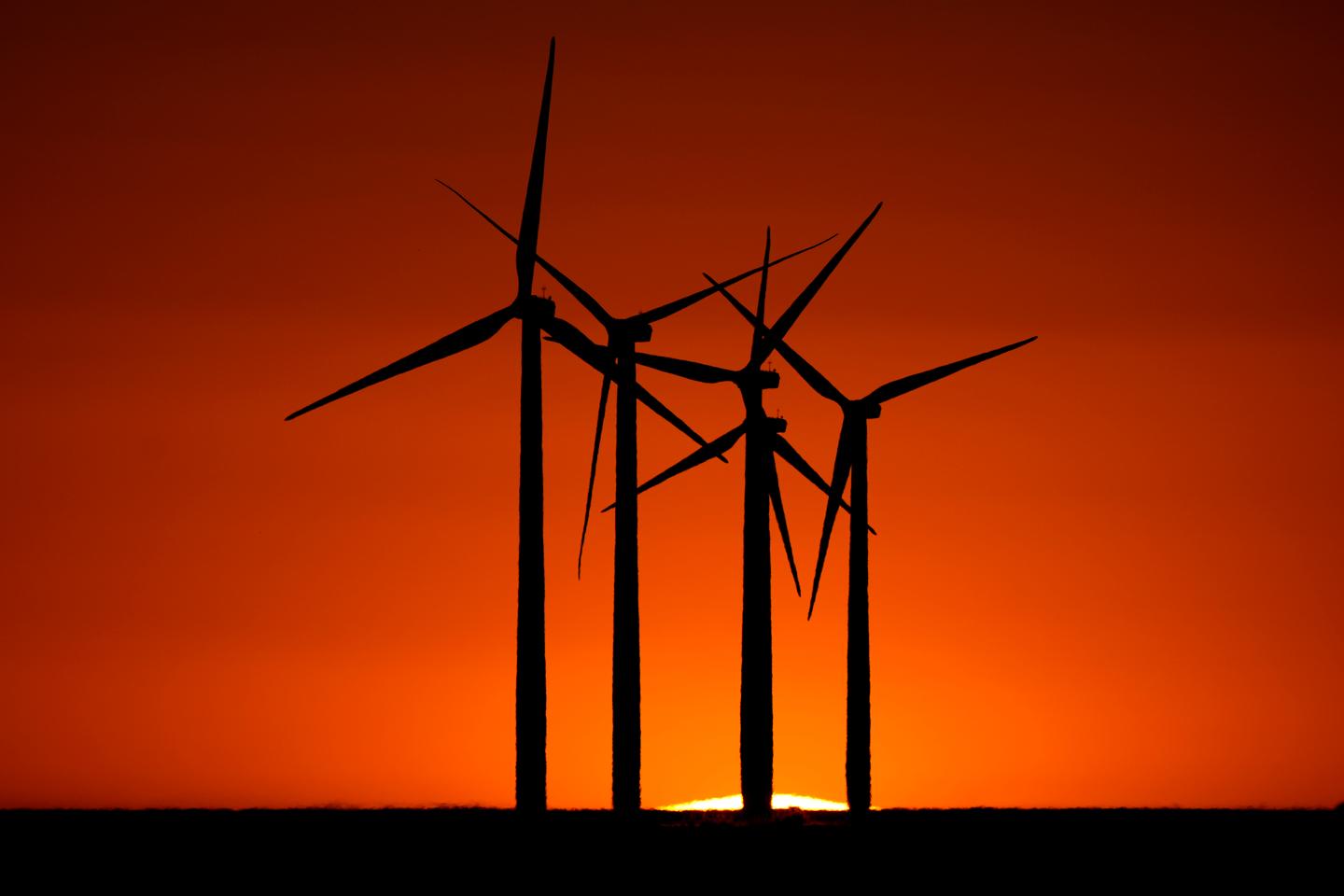 EU climate monitor says 2024 is 'virtually certain' to be the hottest year on record