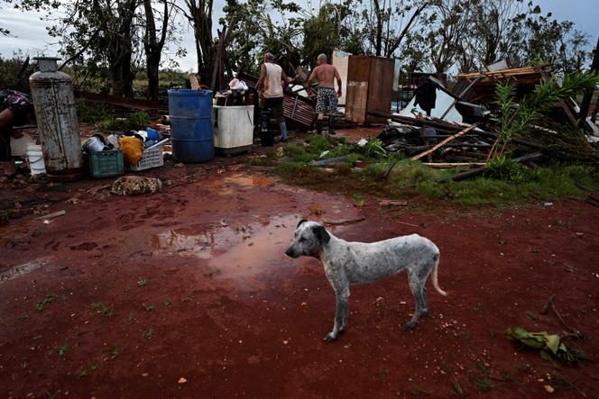 Em Cuba, no município de Alquizar, após a passagem do furacão Rafael, 7 de novembro de 2024.