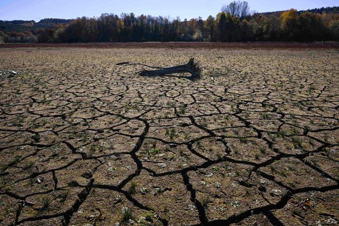 Le barrage de Yovkovtsi à sec, près de la ville d’Elena, en Bulgarie centrale, le 8 novembre 2024. 