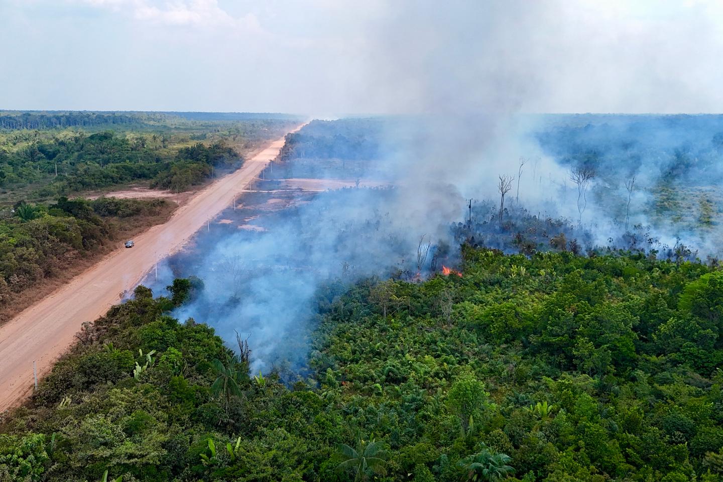 Deforestation of the Amazon at a nine-year low