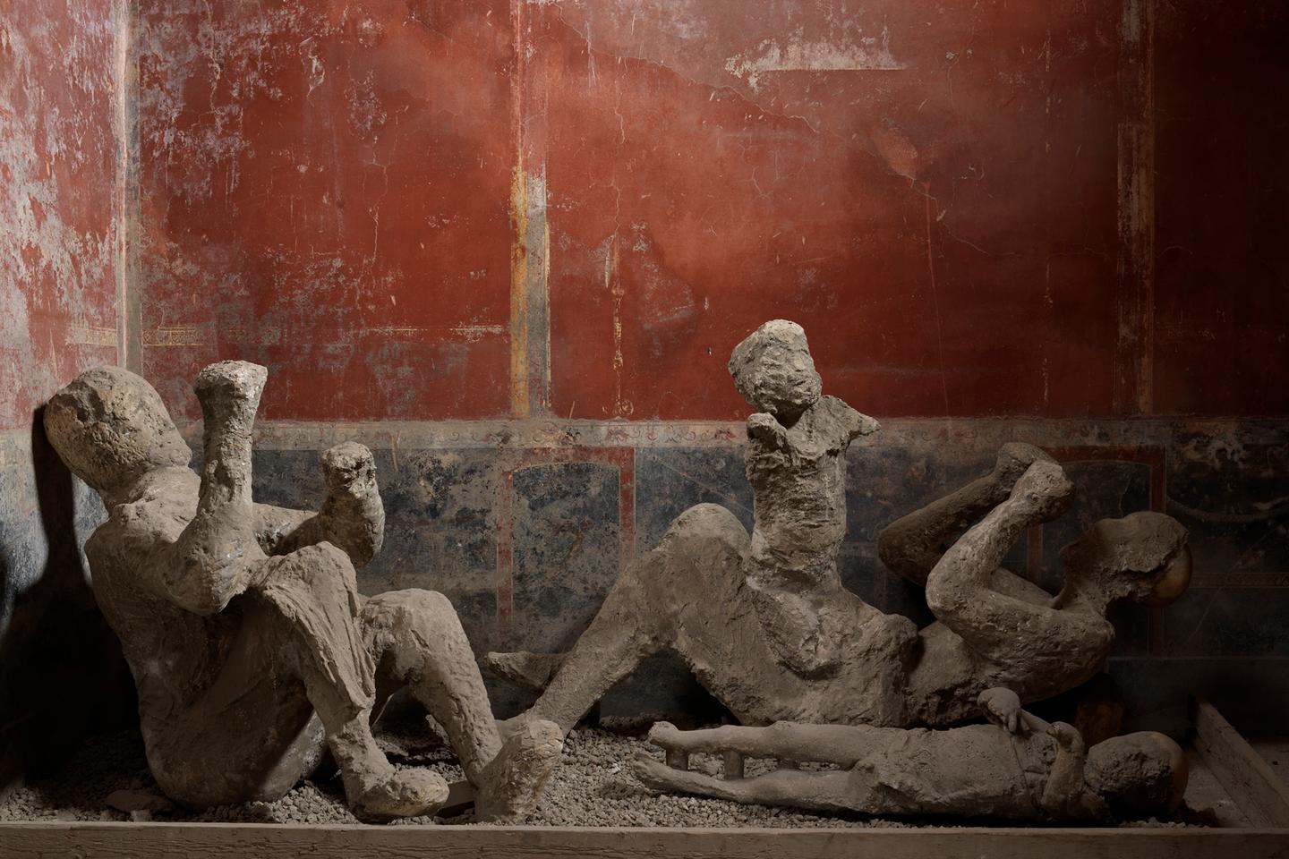 Science: Ancient DNA reveals the origins of Pompeii's inhabitants