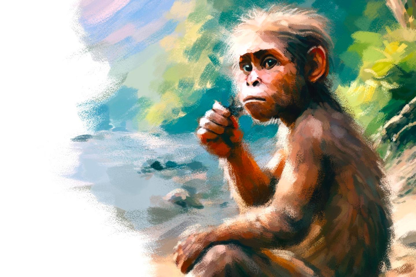 The debated legacy of Lucy, the most famous australopithecine
