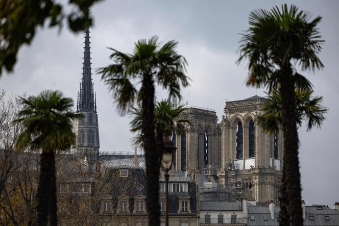 Catedral de Notre-Dame em Paris, 11 de novembro de 2024.