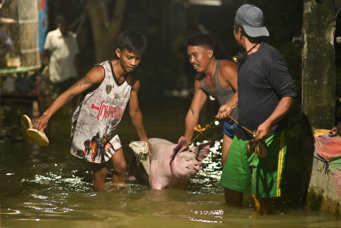 Images Le Monde.fr