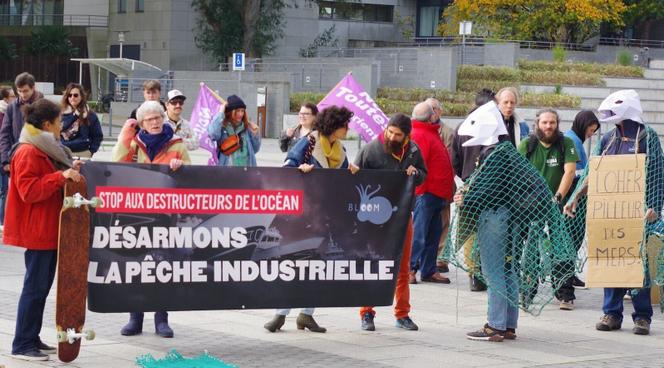 Mobilisation à l’appel du mouvement écologiste Extinction Rebellion contre la pêche industrielle et la campagne du chalutier géant « Annelies-llena », devant l’hôtel de ville de Lorient (Morbihan), le 11 novembre 2024. 