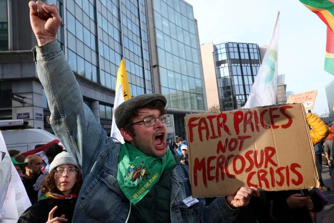 Agricultores manifestam-se contra o acordo UE-Mercosul em Bruxelas, 13 de novembro de 2024.