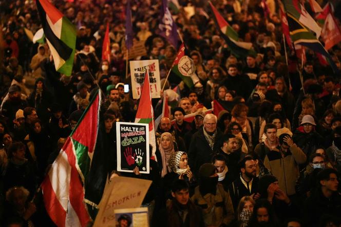 Les manifestants brandissent des pancartes et des drapeaux palestiniens lors d'un rassemblement contre le