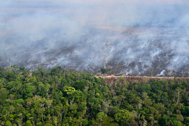 Vista aérea de uma área da floresta amazônica desmatada por queimadas ilegais no município de Lábrea, estado do Amazonas, Brasil, tirada em 20 de agosto de 2024. 