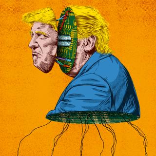 Images Le Monde.fr