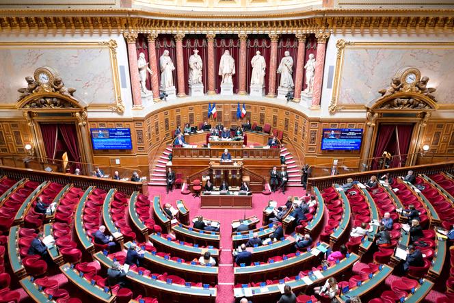 La ministre de la santé, Geneviève Darrieussecq, prononce un discours lors d’une séance sur l’examen du projet de loi de financement de la Sécurité sociale pour 2025, au Sénat à Paris, le 18 novembre 2024.
