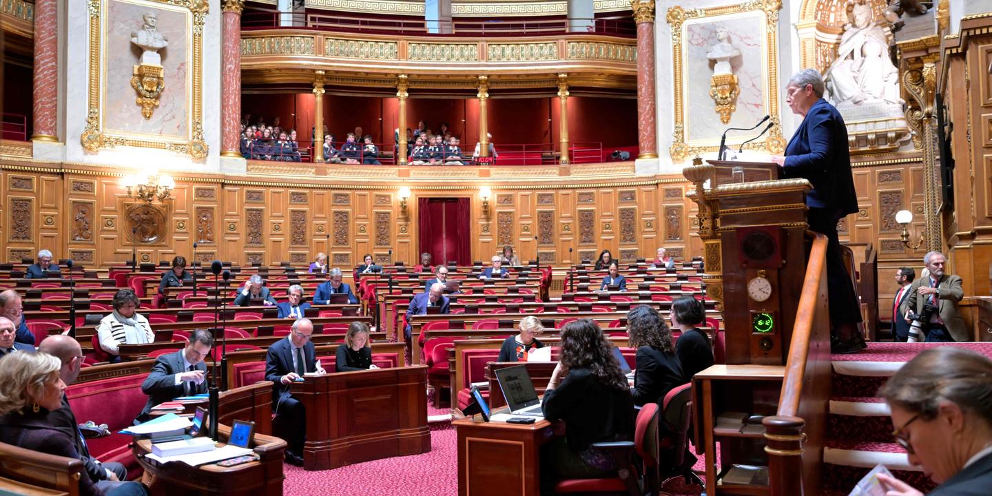 Budget de la Sécurité sociale : le Sénat vote deux rallonges pour la dépendance des personnes âgées ou handicapées