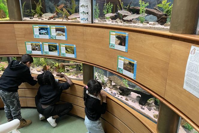 A la Maison de la pêche et de la nature, sur l’île de la Jatte (Hauts-de-Seine).