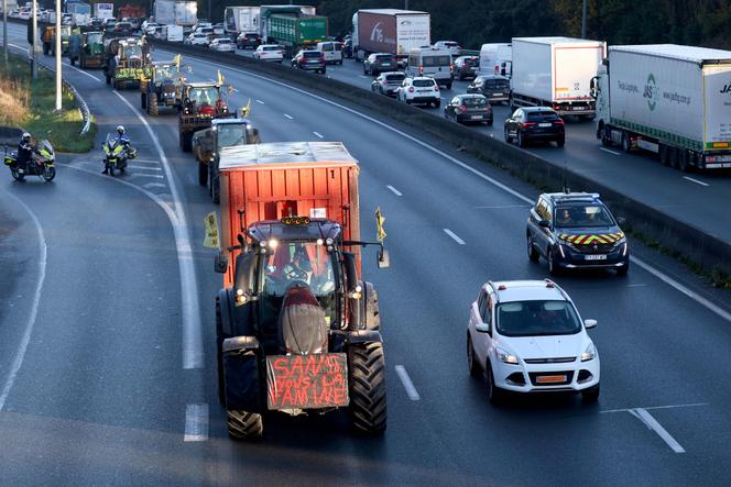 Des agriculteurs affiliés à la Coordination rurale circulent sur l'autoroute A10 entre Bordeaux et Agen après la levée du blocus du port de commerce de la Gironde, le 22 novembre 2024.