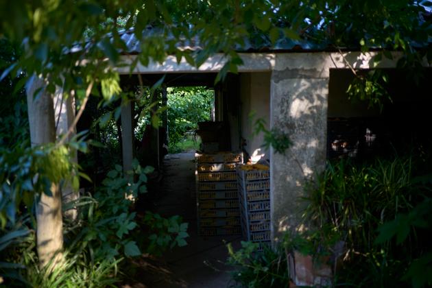 Outside the home of José "Pepe" Mujica and Lucía Topolansky. November 6, 2024
